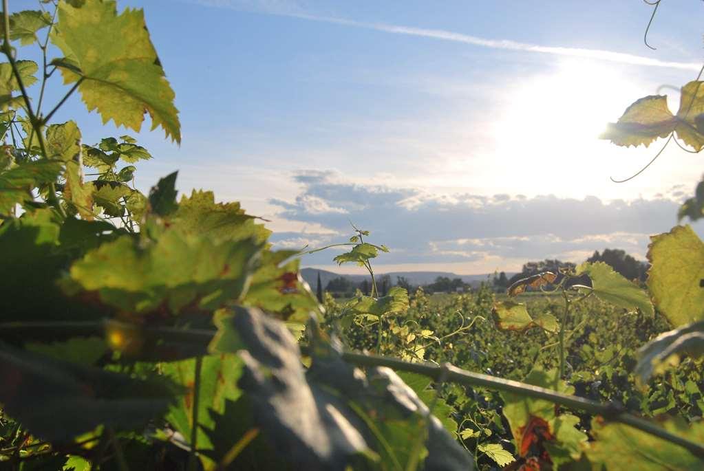 Clos St Eloi, The Originals Relais Hotel 4*
